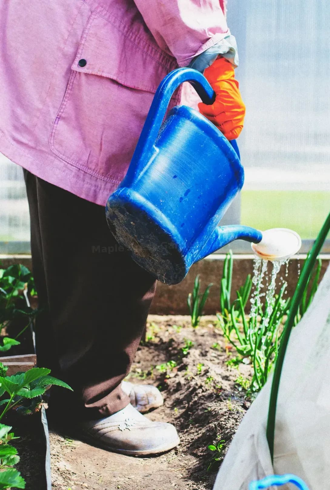 Lawn care and edging