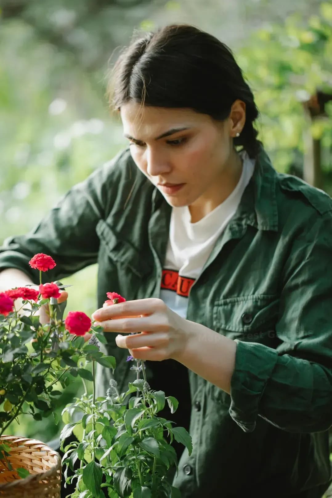 Weed control and bed maintenance